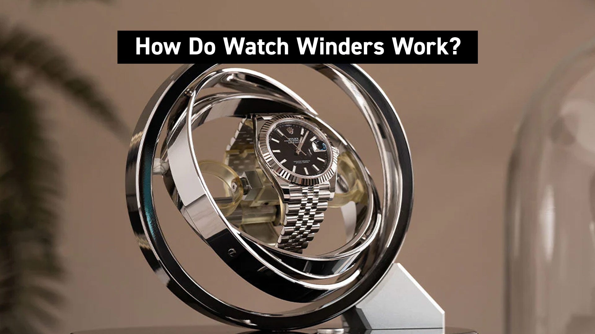 How Do Watch Winders Work RS Chrono