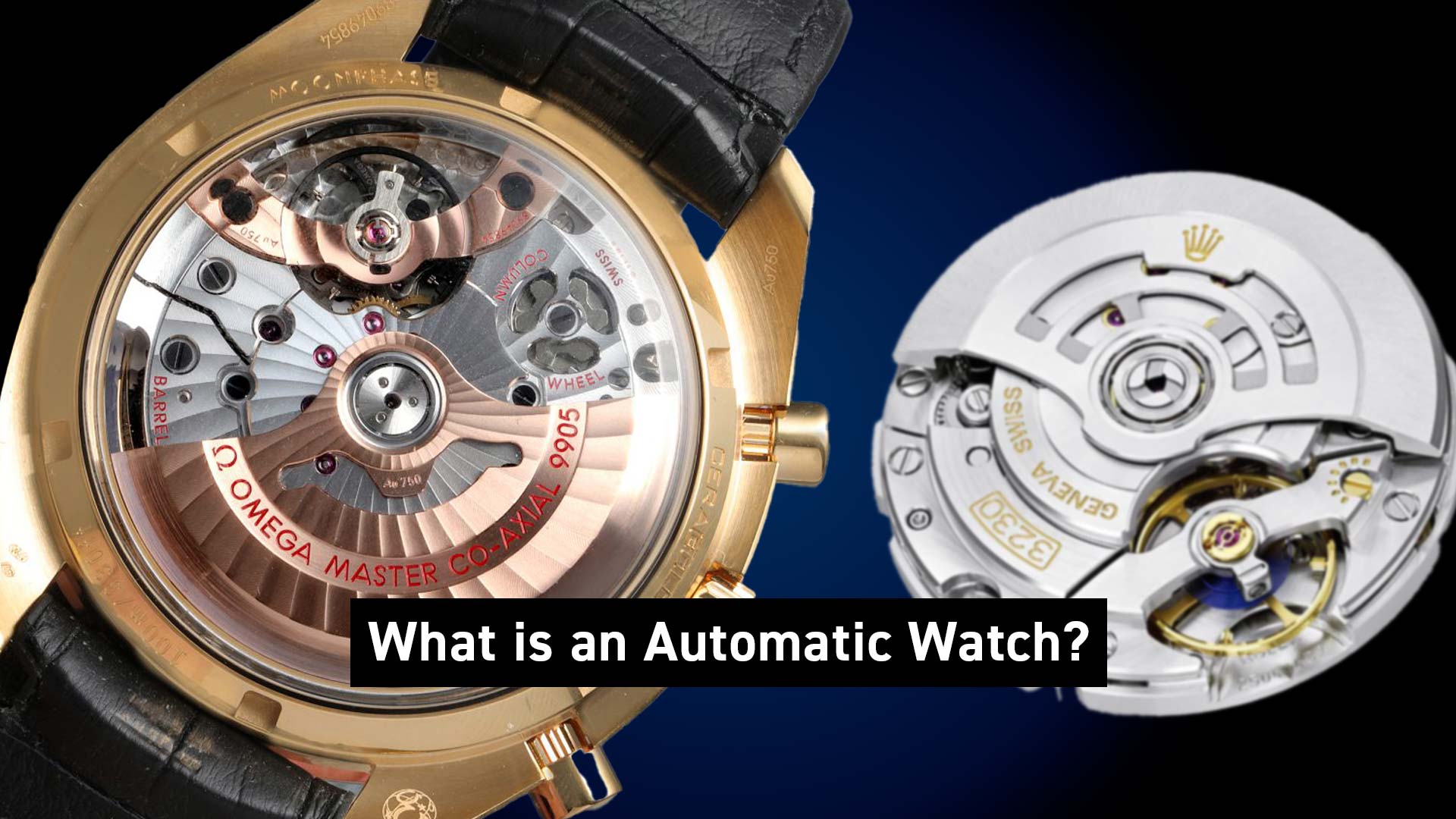 Factory Automatic Watch